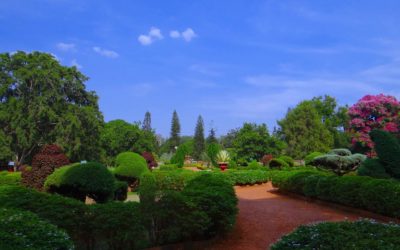 Empieza el proyecto europeo en Urban Greening en el que participamos PAIMED y EFA la Malvesía