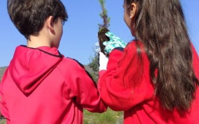 Catadau celebra el día del árbol con la EFA La Malvesía
